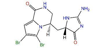 Agesamine B